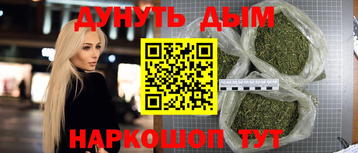 Канабис планчик  Вход с VPN  Бошки марихуана сатива  Кашира 